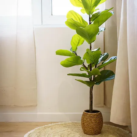 Apartman Stud Sauge 2pers Wifi Centre *